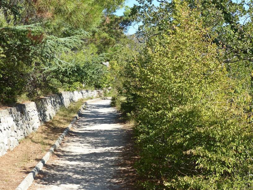 Солнечная тропа. Источник: фотобанк Лори