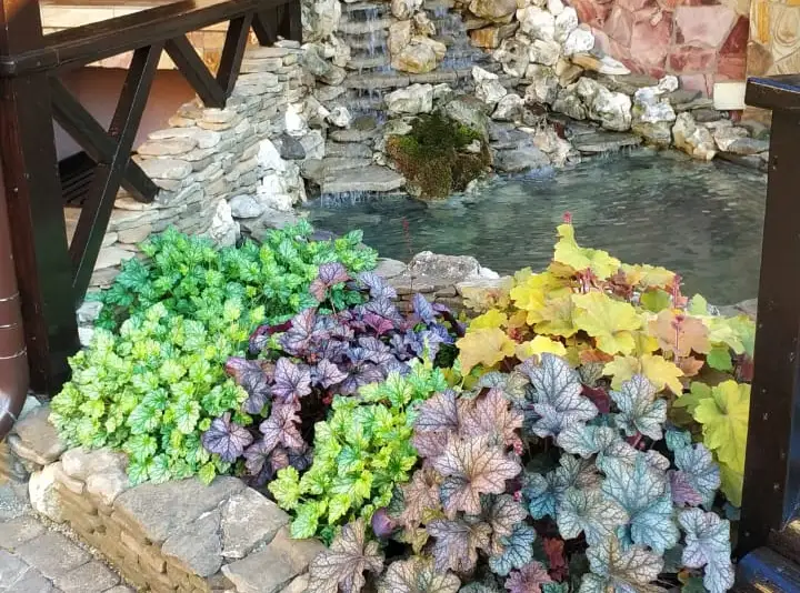 Гостевой дом «Лето» ул. Гоголя, д. 7/1