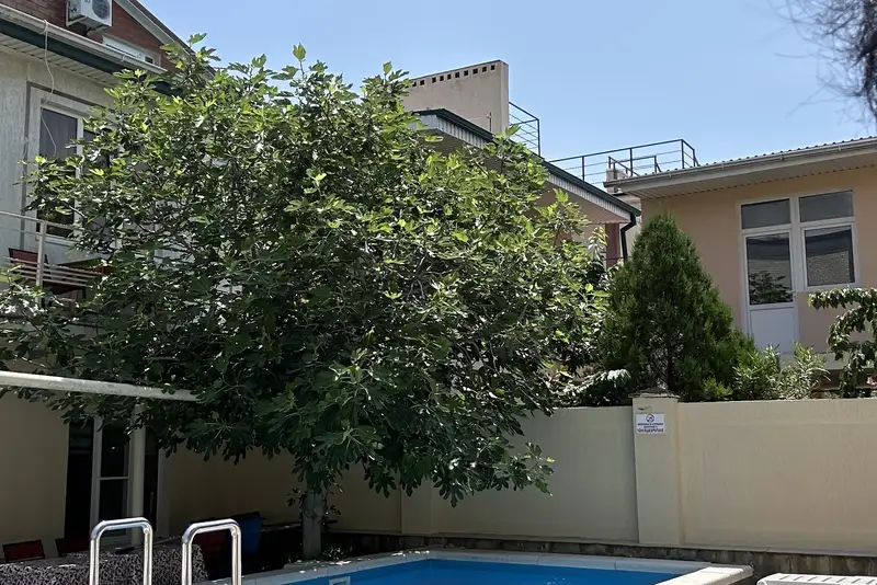 gallery_photo