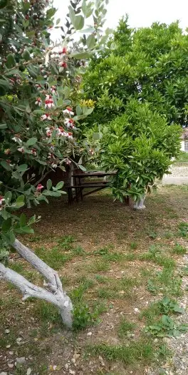 gallery_photo
