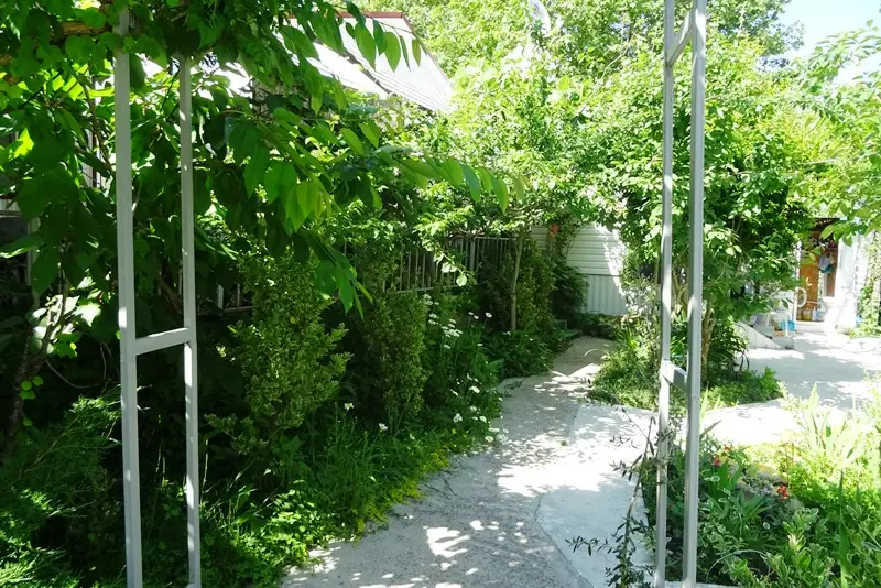 gallery_photo