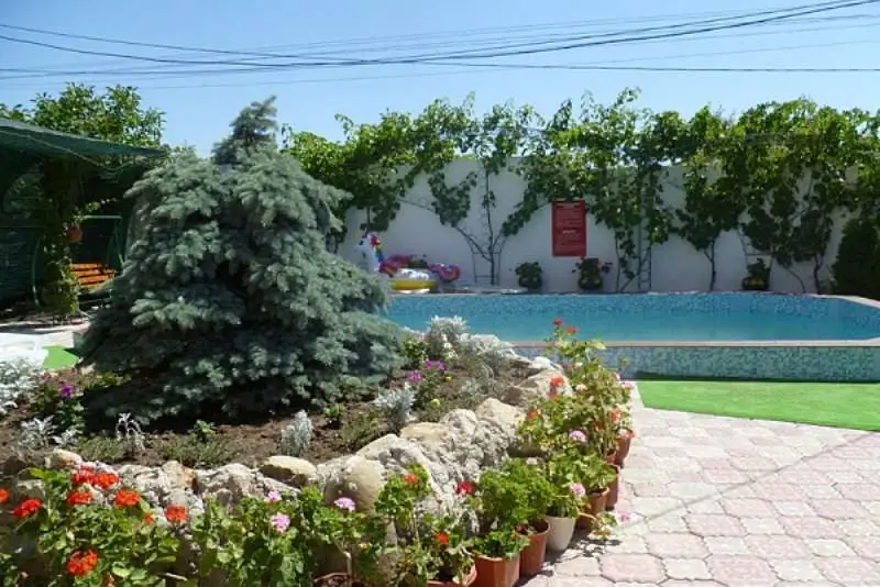 gallery_photo
