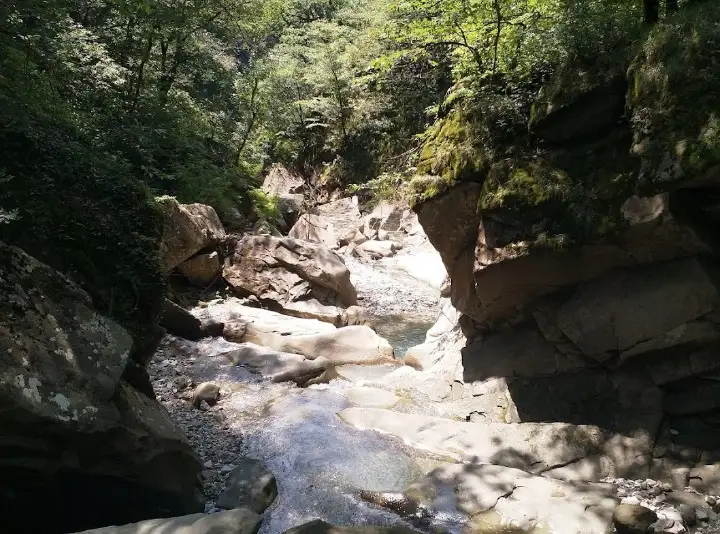 gallery_photo