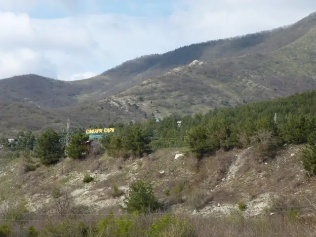 gallery_photo