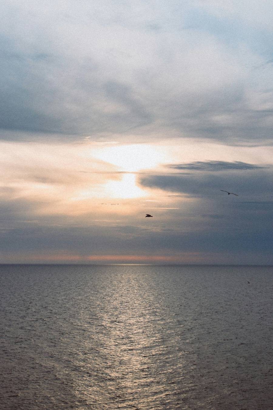 Море на Тортуге — волшебное. Источник:&nbsp;unsplash.com