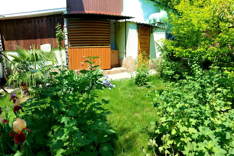 Летняя кухня  и санузел  в саду