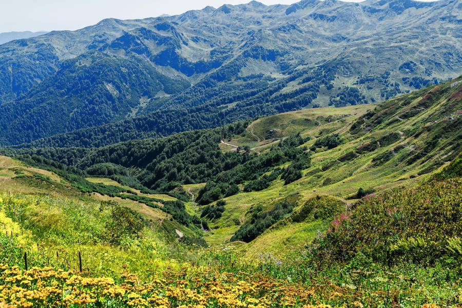 Горы до самого горизонта: великолепные пейзажи Абхазии. Источник: Pexels.com