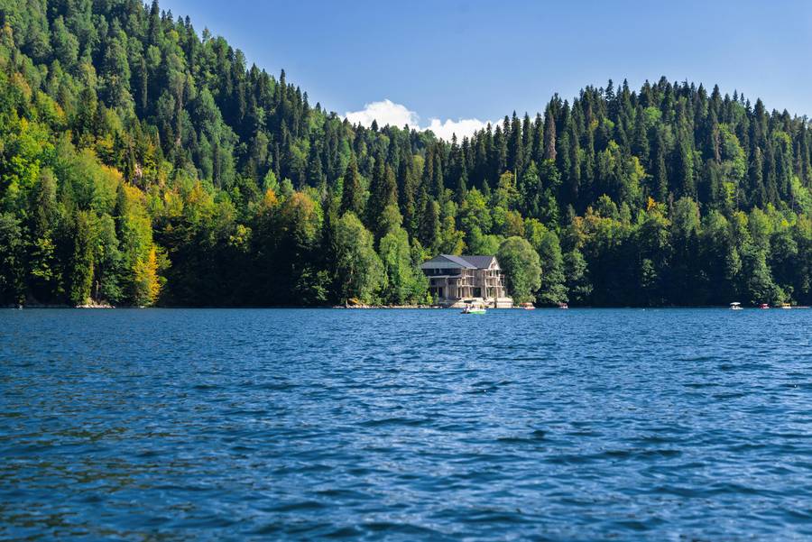 Абхазия. Источник: pexels.com