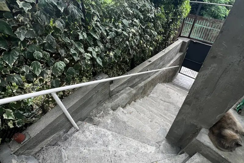gallery_photo
