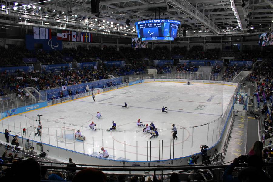 Соревнования по следж-хоккею на «Шайбе» во время зимних Паралимпийских игр 2014 г. Фото из википедии