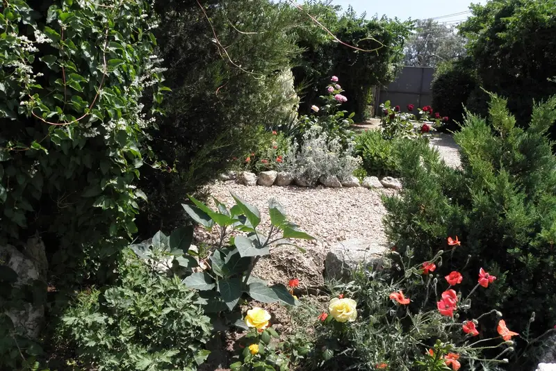 gallery_photo