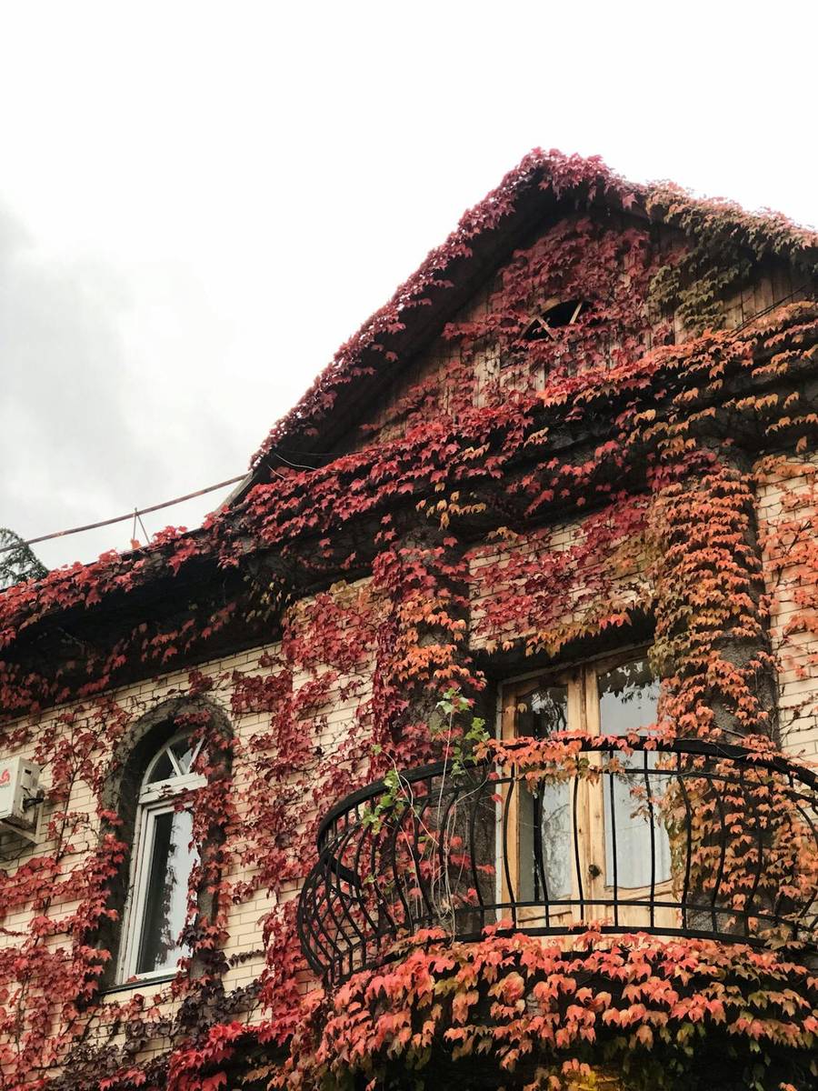 Одно из атмосферных зданий Алушты. Источник:&nbsp;pexels.com