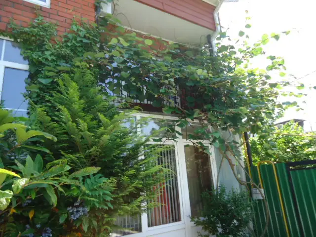 gallery_photo