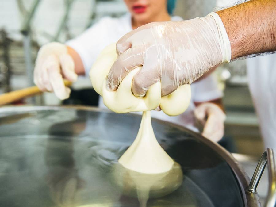 Процесс приготовления сыра в сыроварне «Graziella».Фото: Елена Синеок, Юга.ру