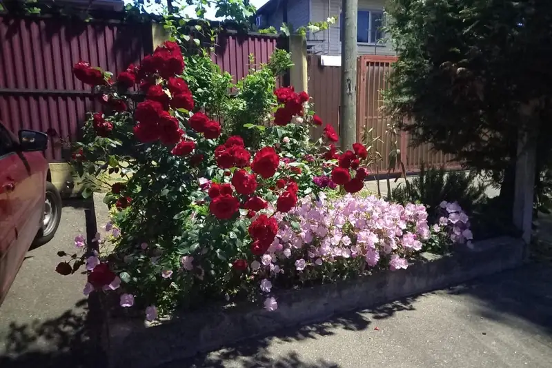 gallery_photo